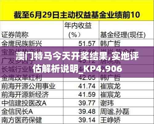 澳门特马今天开奖结果,实地评估解析说明_KP4.906