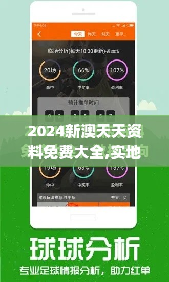 2024新澳天天资料免费大全,实地设计评估解析_旗舰版9.523