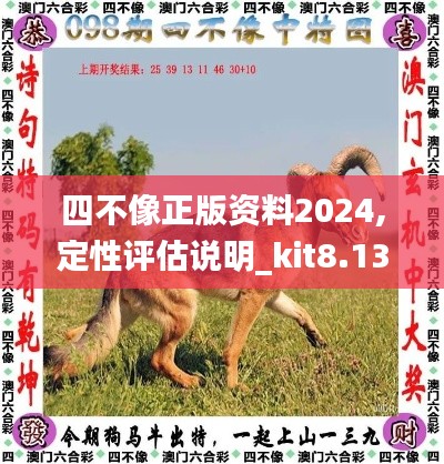 四不像正版资料2024,定性评估说明_kit8.138