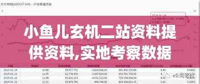 小鱼儿玄机二站资料提供资料,实地考察数据设计_D版2.720