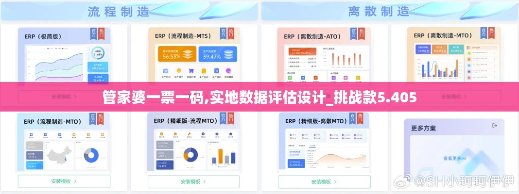 管家婆一票一码,实地数据评估设计_挑战款5.405