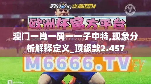 澳门一肖一码一一子中特,现象分析解释定义_顶级款2.457