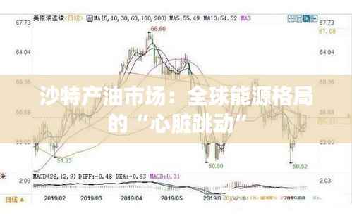 沙特产油市场:全球能源格局的“心脏跳动”