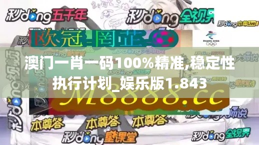 澳门一肖一码100%精准,稳定性执行计划_娱乐版1.843