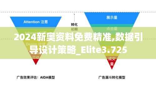 2024新奥资料免费精准,数据引导设计策略_Elite3.725