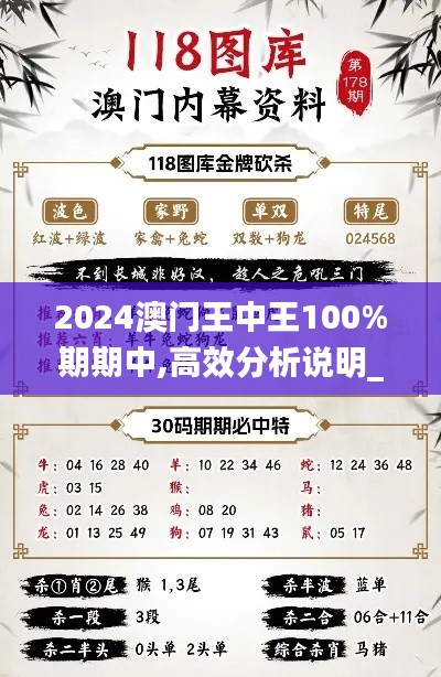 2024澳门王中王100%期期中,高效分析说明_SE版3.738