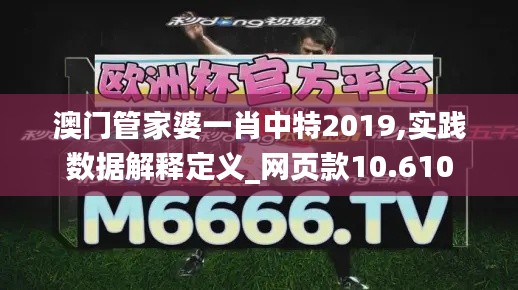 澳门管家婆一肖中特2019,实践数据解释定义_网页款10.610