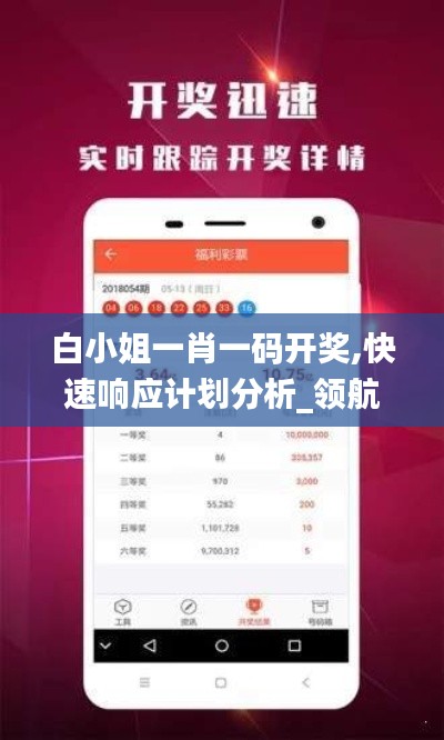 白小姐一肖一码开奖,快速响应计划分析_领航款9.268