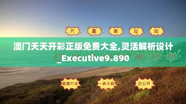 澳门天天开彩正版免费大全,灵活解析设计_Executive9.890