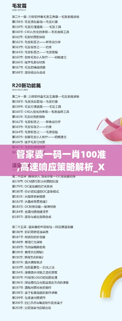 管家婆一码一肖100准,高速响应策略解析_XR6.201