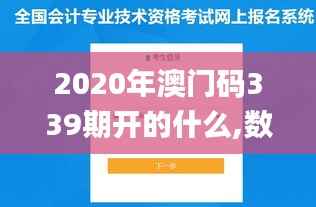 2020年澳门码339期开的什么,数据解答解释定义_开发版110.429