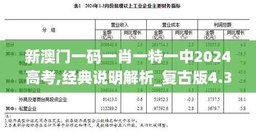 新澳门一码一肖一特一中2024高考,经典说明解析_复古版4.362