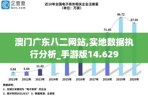 澳门广东八二网站,实地数据执行分析_手游版14.629