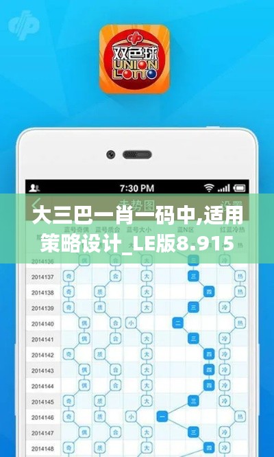 大三巴一肖一码中,适用策略设计_LE版8.915