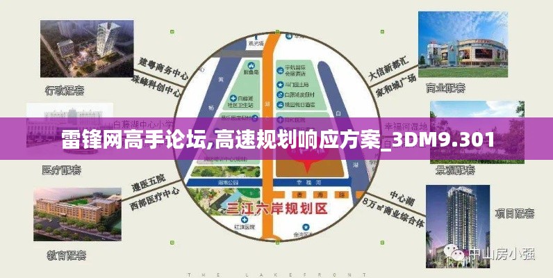 雷锋网高手论坛,高速规划响应方案_3DM9.301