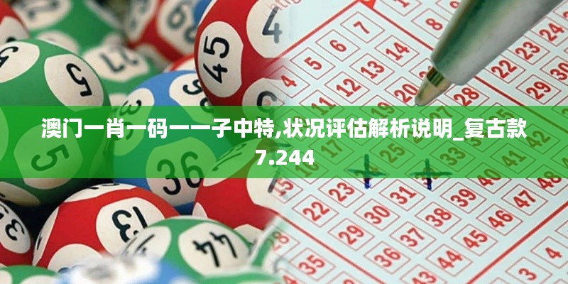 澳门一肖一码一一子中特,状况评估解析说明_复古款7.244