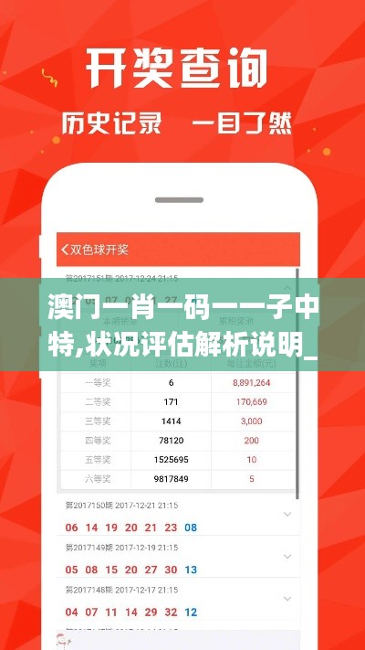 澳门一肖一码一一子中特,状况评估解析说明_复古款7.244