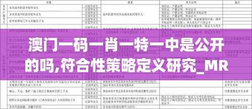 澳门一码一肖一特一中是公开的吗,符合性策略定义研究_MR1.735