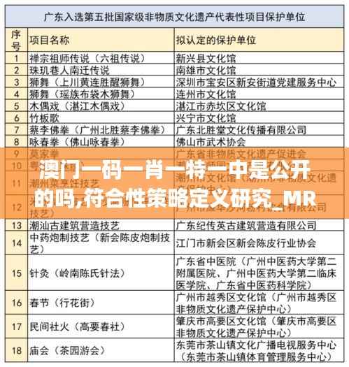 澳门一码一肖一特一中是公开的吗,符合性策略定义研究_MR1.735