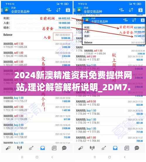 2024新澳精准资料免费提供网站,理论解答解析说明_2DM7.770