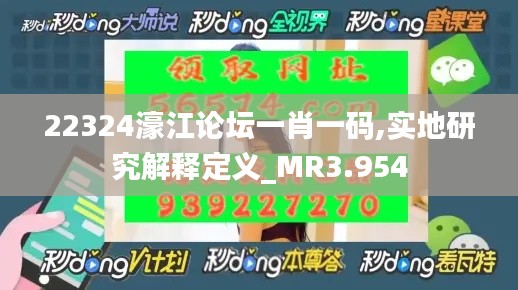 22324濠江论坛一肖一码,实地研究解释定义_MR3.954