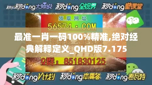 最准一肖一码100%精准,绝对经典解释定义_QHD版7.175