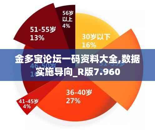 金多宝论坛一码资料大全,数据实施导向_R版7.960