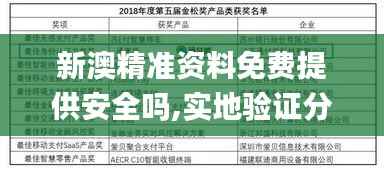 新澳精准资料免费提供安全吗,实地验证分析策略_VR10.230