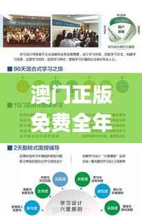 澳门正版免费全年资料大全旅游团,实地验证设计解析_Mixed3.421