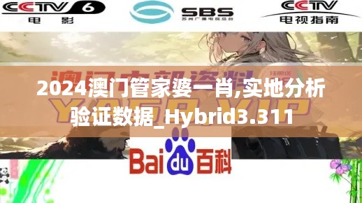 2024澳门管家婆一肖,实地分析验证数据_Hybrid3.311