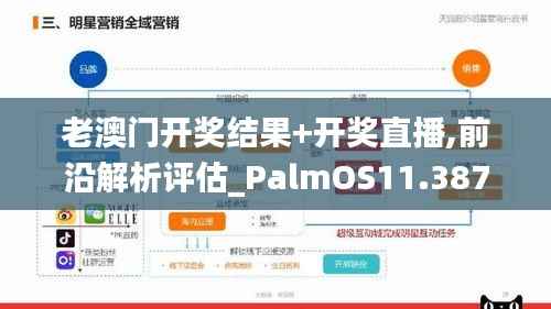 老澳门开奖结果+开奖直播,前沿解析评估_PalmOS11.387
