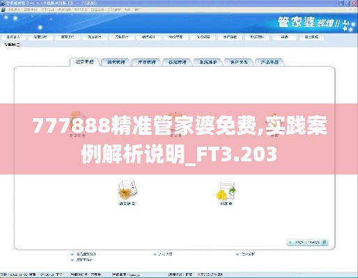 777888精准管家婆免费,实践案例解析说明_FT3.203