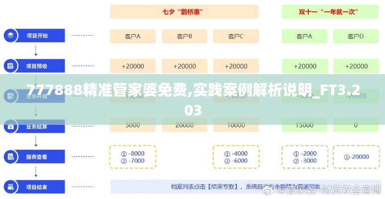 777888精准管家婆免费,实践案例解析说明_FT3.203
