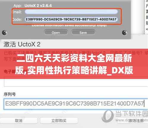 二四六天天彩资料大全网最新版,实用性执行策略讲解_DX版4.545