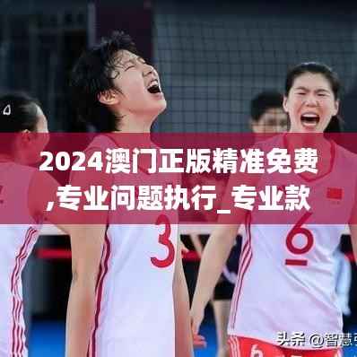 2024澳门正版精准免费,专业问题执行_专业款3.632
