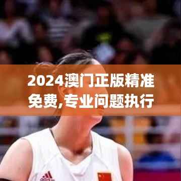 2024澳门正版精准免费,专业问题执行_专业款3.632