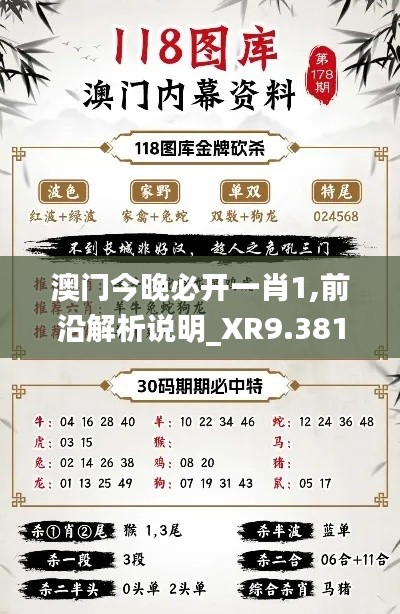 澳门今晚必开一肖1,前沿解析说明_XR9.381