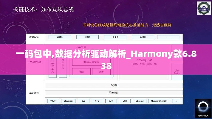 一码包中,数据分析驱动解析_Harmony款6.838