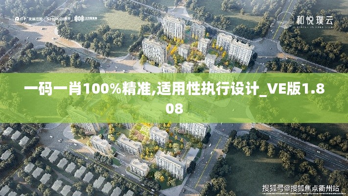 一码一肖100%精准,适用性执行设计_VE版1.808