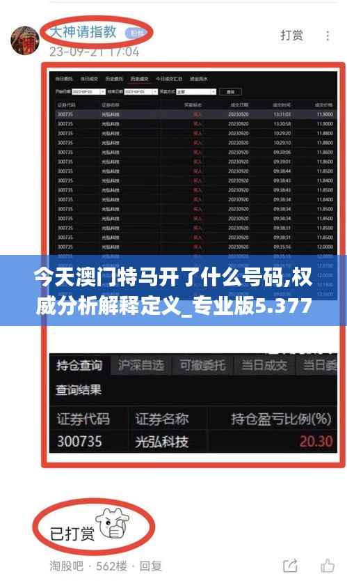 今天澳门特马开了什么号码,权威分析解释定义_专业版5.377