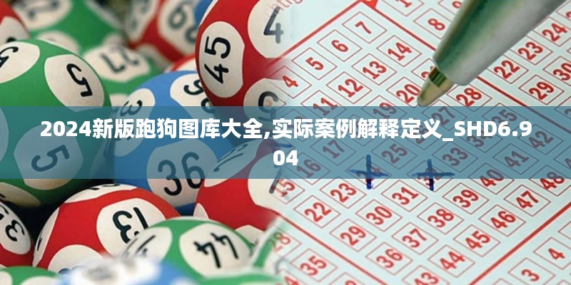 2024新版跑狗图库大全,实际案例解释定义_SHD6.904