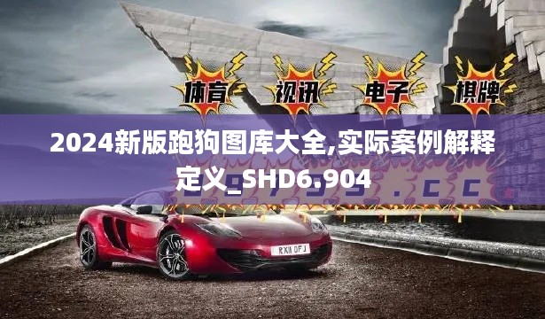 2024新版跑狗图库大全,实际案例解释定义_SHD6.904