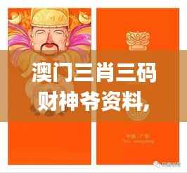 澳门三肖三码财神爷资料,实践性执行计划_V版5.173