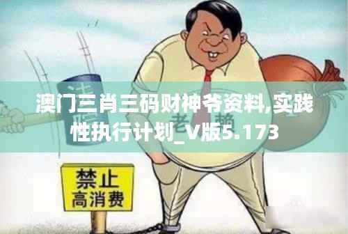 澳门三肖三码财神爷资料,实践性执行计划_V版5.173