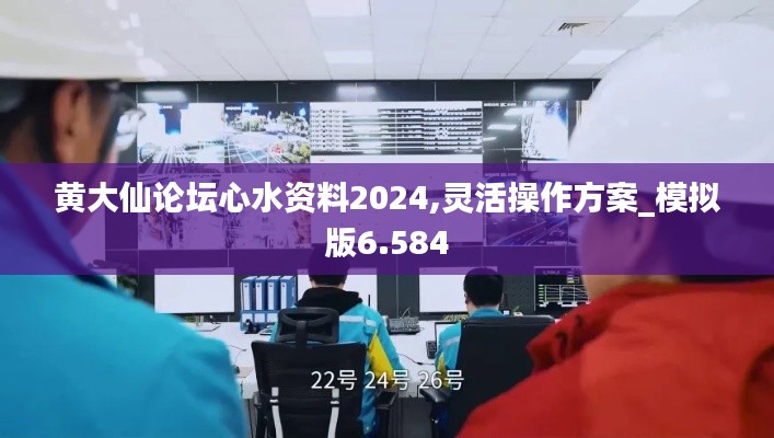 黄大仙论坛心水资料2024,灵活操作方案_模拟版6.584