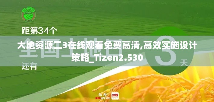 大地资源二3在线观看免费高清,高效实施设计策略_Tizen2.530
