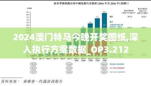 2024澳门特马今晚开奖图纸,深入执行方案数据_OP3.212