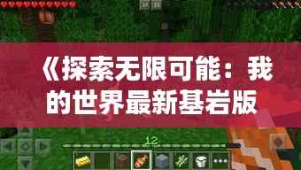 《探索无限可能:我的世界最新基岩版深度解析》
