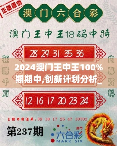2024澳门王中王100%期期中,创新计划分析_复古版1.102