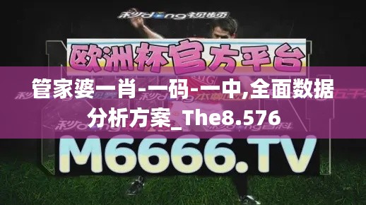 管家婆一肖-一码-一中,全面数据分析方案_The8.576